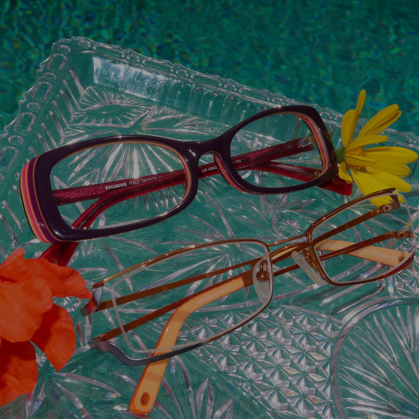 slice of summer collection showing bayonetta style red frames and tangerine frame