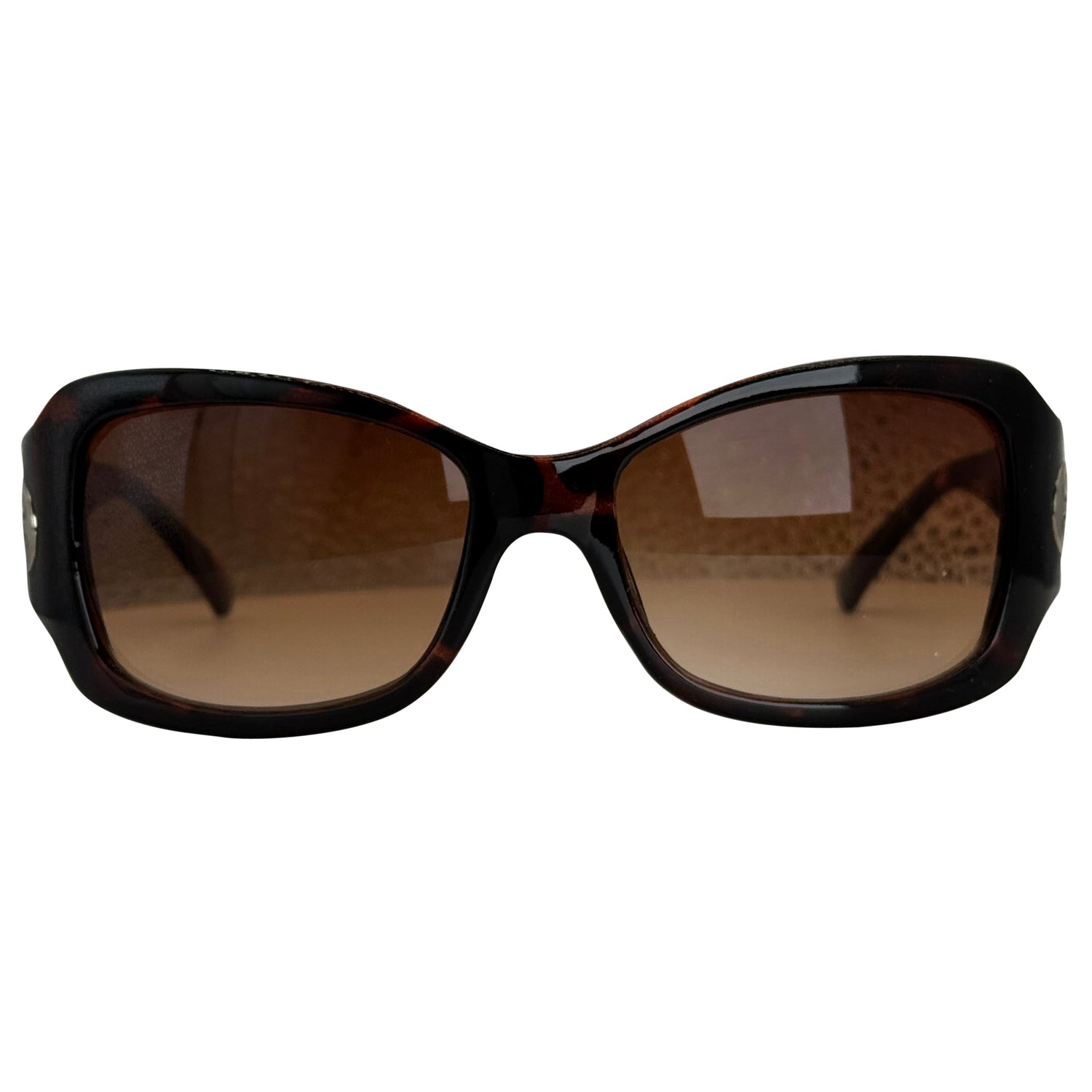 Brown tortoise front