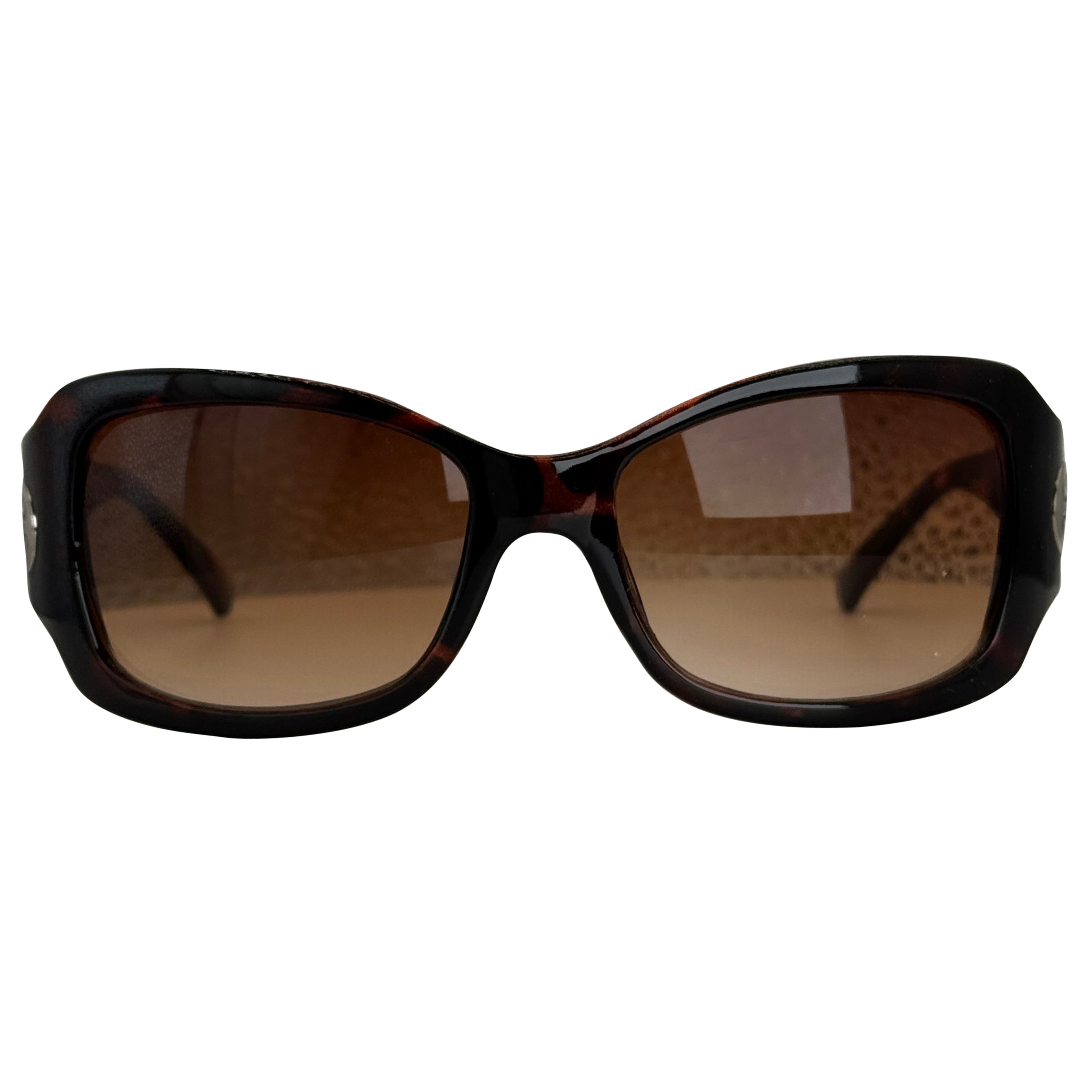 Brown tortoise front