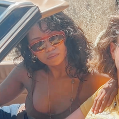 WEEZIE Demi/Brown Avante-Garde Sunglasses | Luxe-Giant Vintage Eyewear