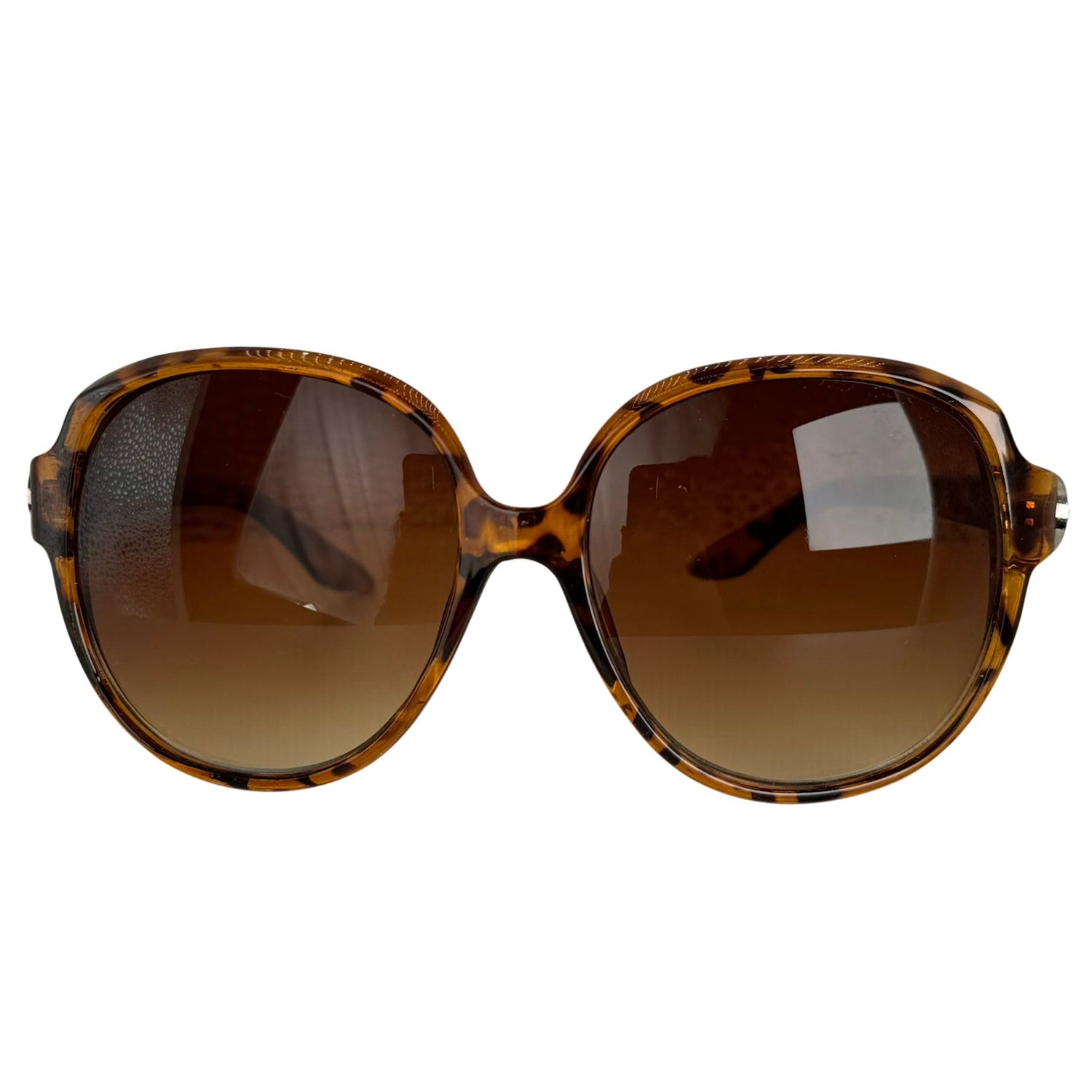 whisper tortoise front