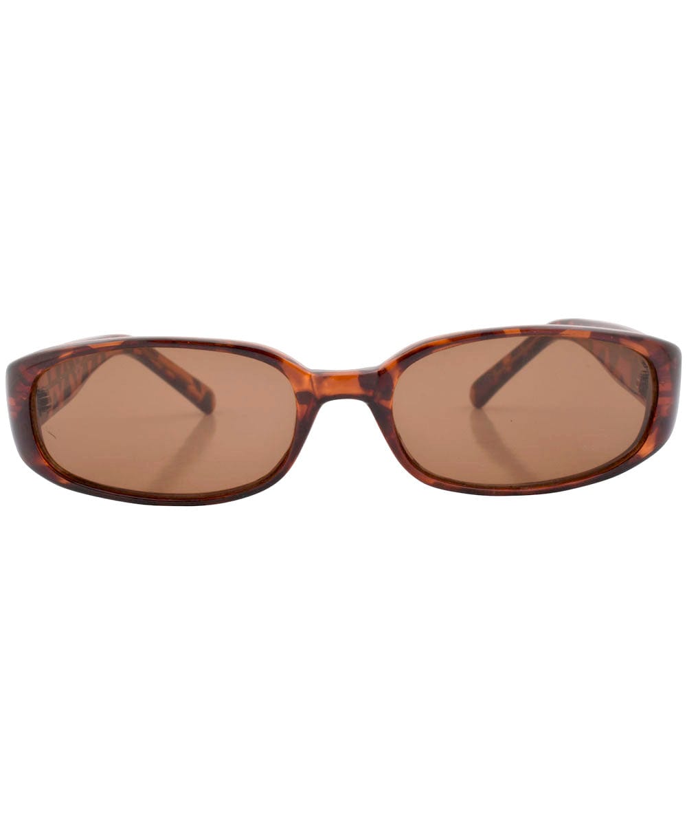 botz tortoise brown sunglasses