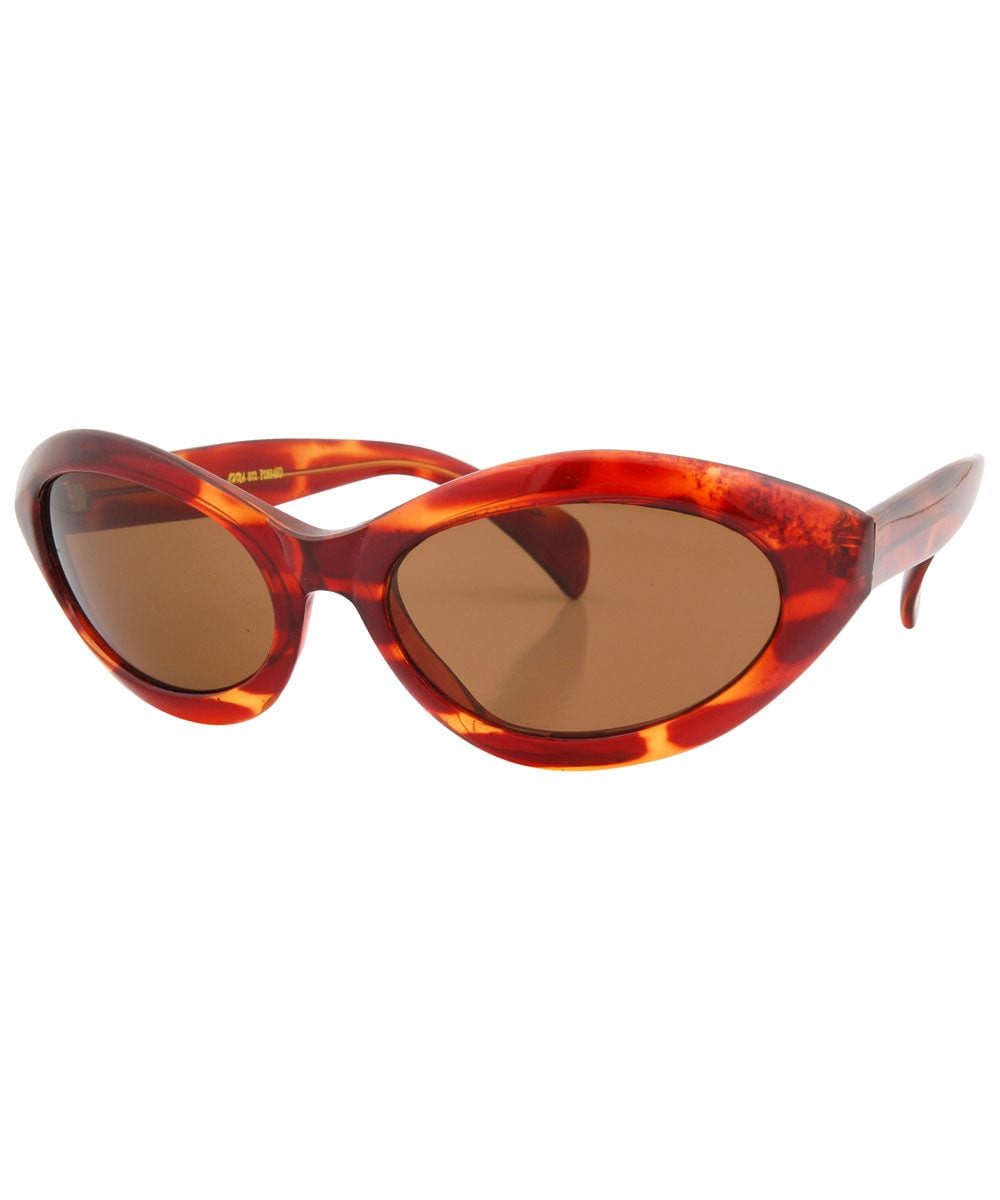 moray tortoise brown sunglasses